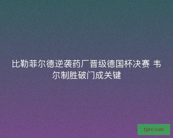 比勒菲尔德逆袭药厂晋级德国杯决赛 韦尔制胜破门成关键