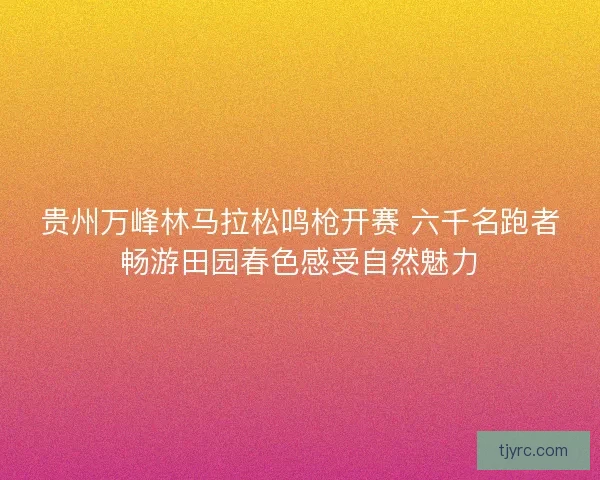 贵州万峰林马拉松鸣枪开赛 六千名跑者畅游田园春色感受自然魅力