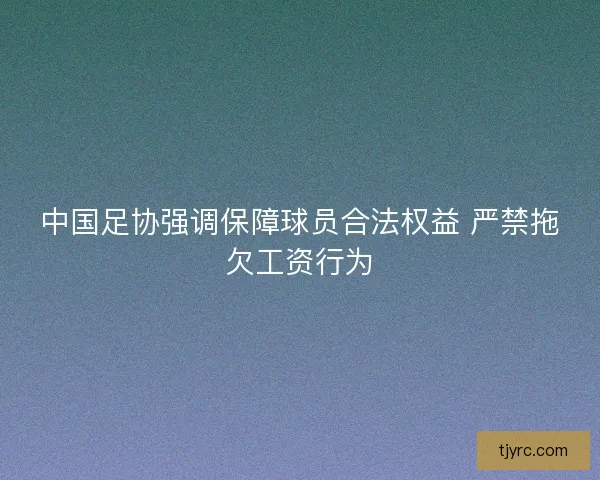 中国足协强调保障球员合法权益 严禁拖欠工资行为