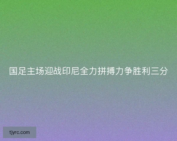 国足主场迎战印尼全力拼搏力争胜利三分